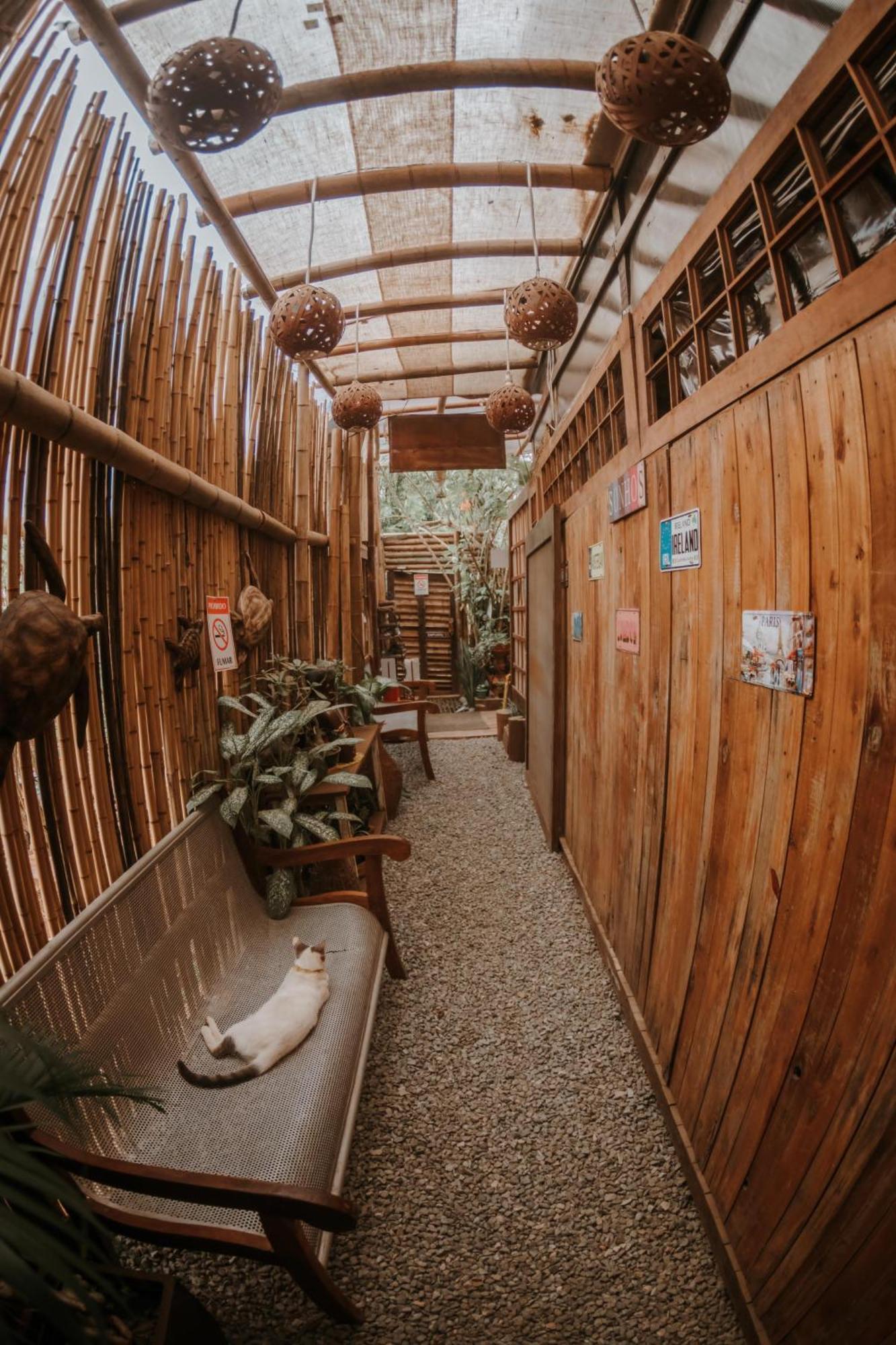 Doce Lar Hostel Noronha Fernando de Noronha Esterno foto